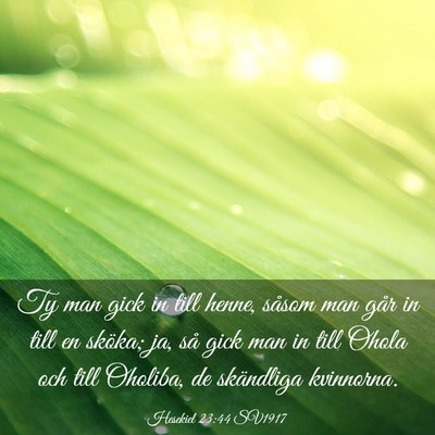 Picture 03 - Hesekiel 23:44 SV1917 - Ty man gick in till henne, såsom man går in - Bible Verse Picture