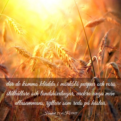 Picture 03 - Hesekiel 23:6 SV1917 - där de kommo klädda i mörkblå purpur och voro - Bible Verse Picture