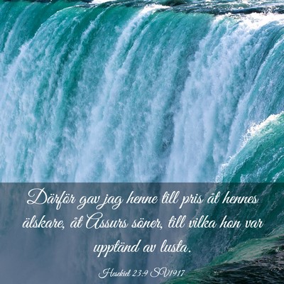 Picture 03 - Hesekiel 23:9 SV1917 - Därför gav jag henne till pris åt hennes - Bible Verse Picture