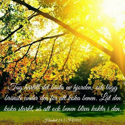 Picture 03 - Hesekiel 24:5 SV1917 - Tag härtill det bästa av hjorden; och lägg - Bible Verse Picture
