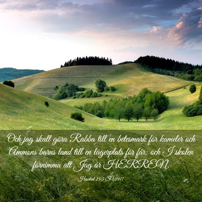 Picture 03 - Hesekiel 25:5 SV1917 - Och jag skall göra Rabba till en betesmark för - Bible Verse Picture