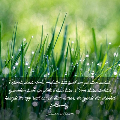 Picture 03 - Hesekiel 27:11 SV1917 - Arvads söner stodo med din här runt om på dina - Bible Verse Picture