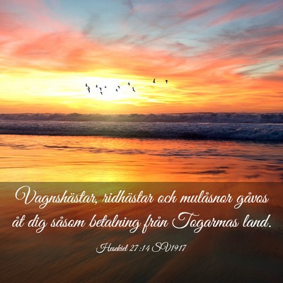 Picture 03 - Hesekiel 27:14 SV1917 - Vagnshästar, ridhästar och mulåsnor gåvos åt - Bible Verse Picture