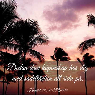 Picture 03 - Hesekiel 27:20 SV1917 - Dedan drev köpenskap hos dig med sadeltäcken - Bible Verse Picture