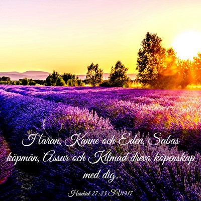 Picture 03 - Hesekiel 27:23 SV1917 - Haran, Kanne och Eden, Sabas köpmän, Assur och - Bible Verse Picture