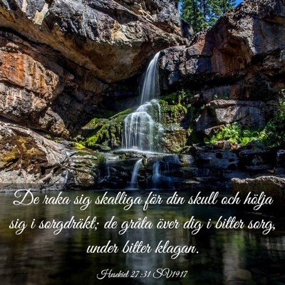 Picture 03 - Hesekiel 27:31 SV1917 - De raka sig skalliga för din skull och hölja - Bible Verse Picture