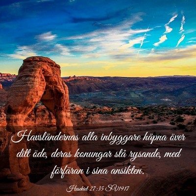 Picture 03 - Hesekiel 27:35 SV1917 - Havsländernas alla inbyggare häpna över ditt - Bible Verse Picture