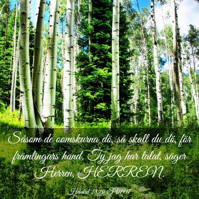 Picture 03 - Hesekiel 28:10 SV1917 - Såsom de oomskurna dö, så skall du dö, för - Bible Verse Picture