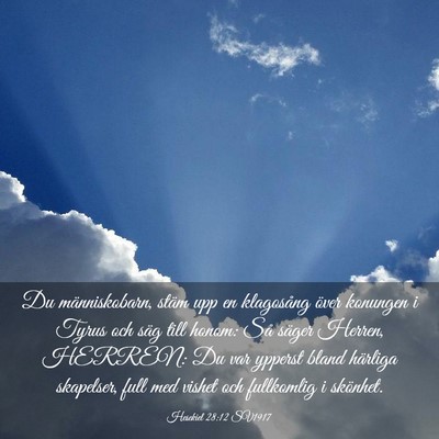 Picture 03 - Hesekiel 28:12 SV1917 - Du människobarn, stäm upp en klagosång över - Bible Verse Picture