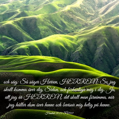 Picture 03 - Hesekiel 28:22 SV1917 - och säg: Så säger Herren, HERREN: Se, jag - Bible Verse Picture