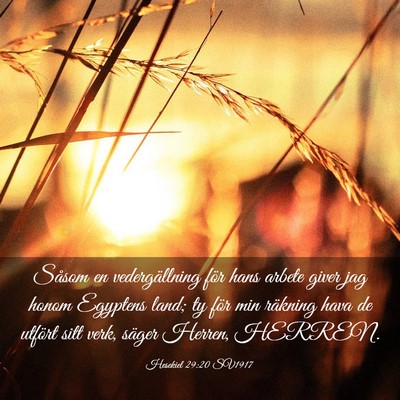 Picture 03 - Hesekiel 29:20 SV1917 - Såsom en vedergällning för hans arbete giver - Bible Verse Picture