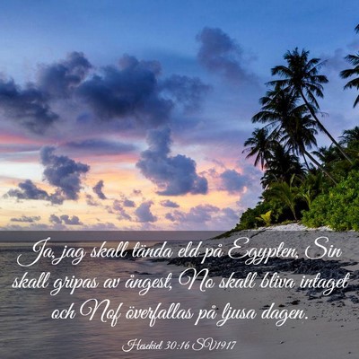 Picture 03 - Hesekiel 30:16 SV1917 - Ja, jag skall tända eld på Egypten, Sin skall - Bible Verse Picture