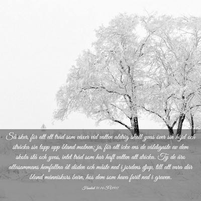 Picture 03 - Hesekiel 31:14 SV1917 - Så sker, för att ett träd som växer vid - Bible Verse Picture