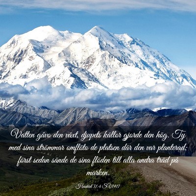 Picture 03 - Hesekiel 31:4 SV1917 - Vatten gåvo den växt, djupets källor gjorde - Bible Verse Picture