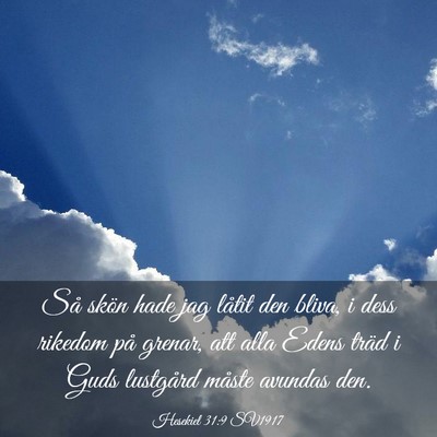 Picture 03 - Hesekiel 31:9 SV1917 - Så skön hade jag låtit den bliva, i dess - Bible Verse Picture
