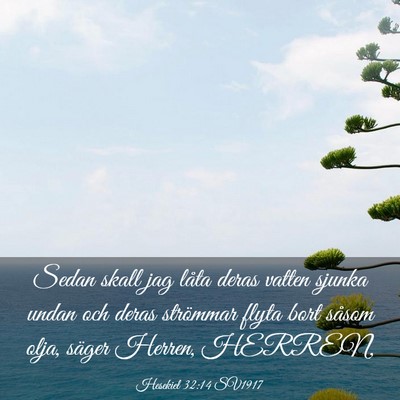 Picture 03 - Hesekiel 32:14 SV1917 - Sedan skall jag låta deras vatten sjunka undan - Bible Verse Picture