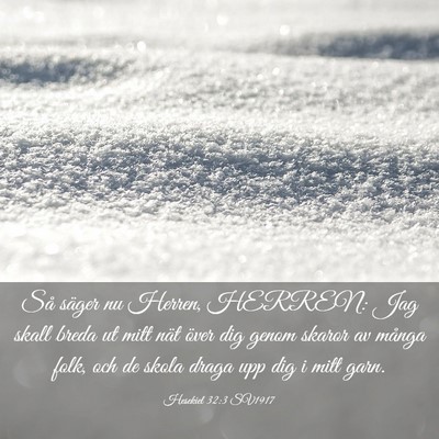 Picture 03 - Hesekiel 32:3 SV1917 - Så säger nu Herren, HERREN: Jag skall breda ut - Bible Verse Picture