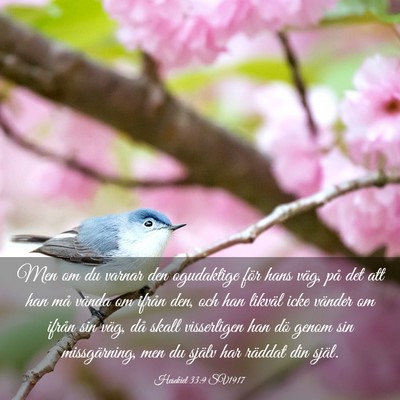 Picture 03 - Hesekiel 33:9 SV1917 - Men om du varnar den ogudaktige för hans väg, - Bible Verse Picture