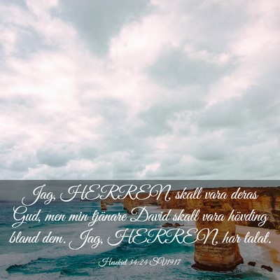Picture 03 - Hesekiel 34:24 SV1917 - Jag, HERREN, skall vara deras Gud, men min - Bible Verse Picture