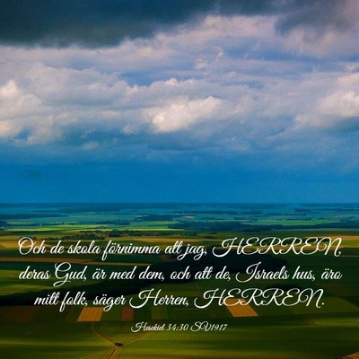 Picture 03 - Hesekiel 34:30 SV1917 - Och de skola förnimma att jag, HERREN, deras - Bible Verse Picture