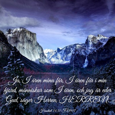 Picture 03 - Hesekiel 34:31 SV1917 - Ja, I ären mina får, I ären får i min hjord, - Bible Verse Picture