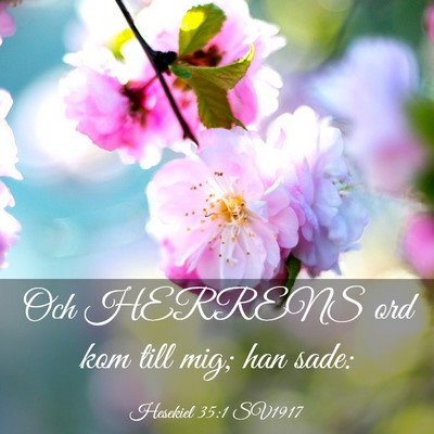 Picture 03 - Hesekiel 35:1 SV1917 - Och HERRENS ord kom till mig; han - Bible Verse Picture