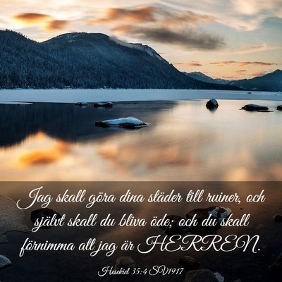 Picture 03 - Hesekiel 35:4 SV1917 - Jag skall göra dina städer till ruiner, och - Bible Verse Picture