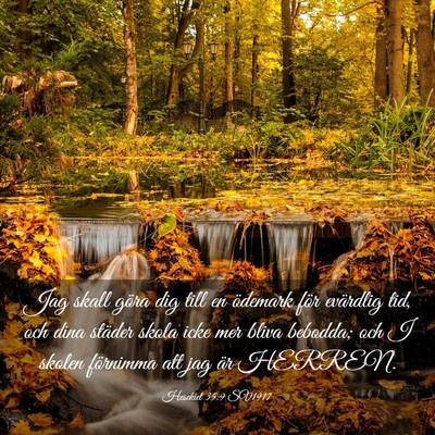 Picture 03 - Hesekiel 35:9 SV1917 - Jag skall göra dig till en ödemark för - Bible Verse Picture