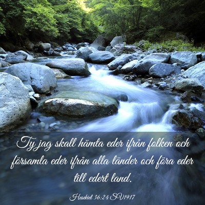 Picture 03 - Hesekiel 36:24 SV1917 - Ty jag skall hämta eder ifrån folken och - Bible Verse Picture
