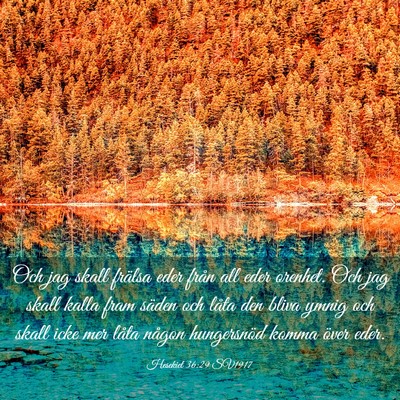 Picture 03 - Hesekiel 36:29 SV1917 - Och jag skall frälsa eder från all eder - Bible Verse Picture