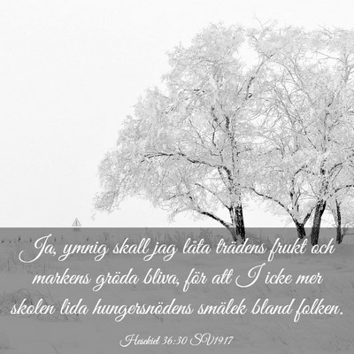 Picture 03 - Hesekiel 36:30 SV1917 - Ja, ymnig skall jag låta trädens frukt och - Bible Verse Picture