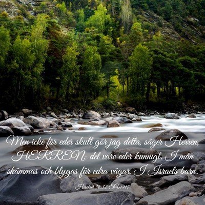 Picture 03 - Hesekiel 36:32 SV1917 - Men icke för eder skull gör jag detta, säger - Bible Verse Picture