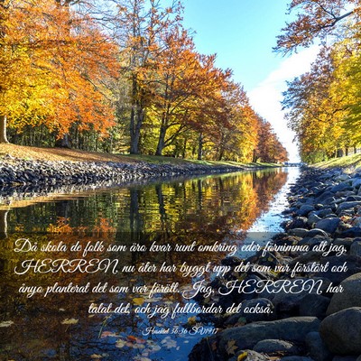 Picture 03 - Hesekiel 36:36 SV1917 - Då skola de folk som äro kvar runt omkring eder - Bible Verse Picture