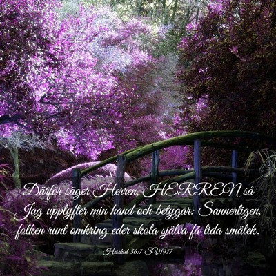 Picture 03 - Hesekiel 36:7 SV1917 - Därför säger Herren, HERREN så Jag upplyfter - Bible Verse Picture