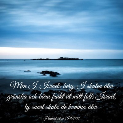 Picture 03 - Hesekiel 36:8 SV1917 - Men I, Israels berg, I skolen åter grönska och - Bible Verse Picture