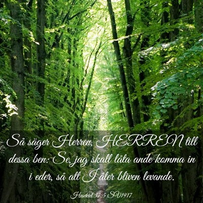Picture 03 - Hesekiel 37:5 SV1917 - Så säger Herren, HERREN till dessa ben: Se, jag - Bible Verse Picture