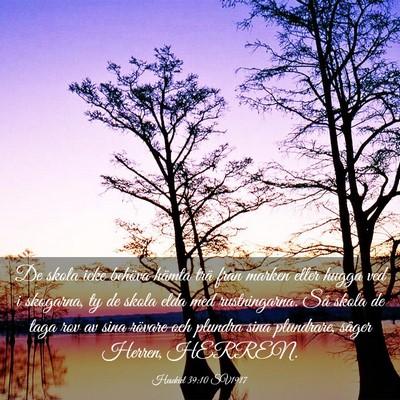 Picture 03 - Hesekiel 39:10 SV1917 - De skola icke behöva hämta trä från marken - Bible Verse Picture