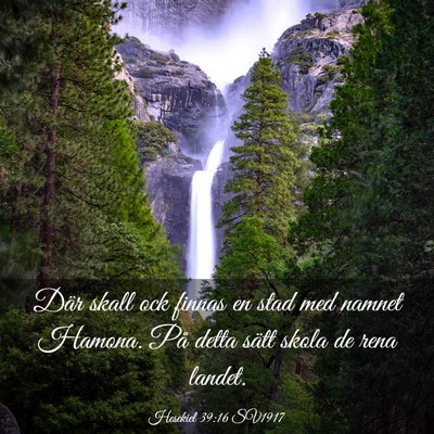 Picture 03 - Hesekiel 39:16 SV1917 - Där skall ock finnas en stad med namnet Hamona. - Bible Verse Picture