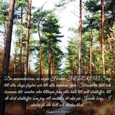 Picture 03 - Hesekiel 39:17 SV1917 - Du människobarn, så säger Herren, HERREN: Säg - Bible Verse Picture