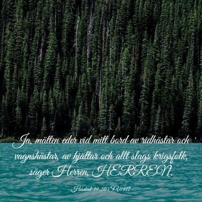 Picture 03 - Hesekiel 39:20 SV1917 - Ja, mätten eder vid mitt bord av ridhästar och - Bible Verse Picture