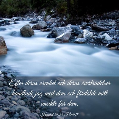 Picture 03 - Hesekiel 39:24 SV1917 - Efter deras orenhet och deras överträdelser - Bible Verse Picture
