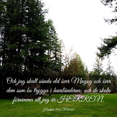 Picture 03 - Hesekiel 39:6 SV1917 - Och jag skall sända eld över Magog och över - Bible Verse Picture