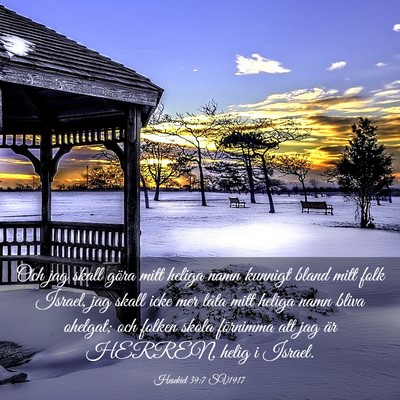 Picture 03 - Hesekiel 39:7 SV1917 - Och jag skall göra mitt heliga namn kunnigt - Bible Verse Picture