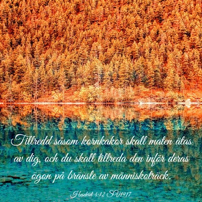 Picture 03 - Hesekiel 4:12 SV1917 - Tillredd såsom kornkakor skall maten ätas av - Bible Verse Picture