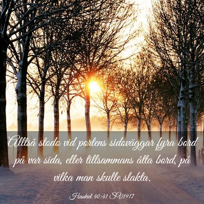 Picture 03 - Hesekiel 40:41 SV1917 - Alltså stodo vid portens sidoväggar fyra bord - Bible Verse Picture