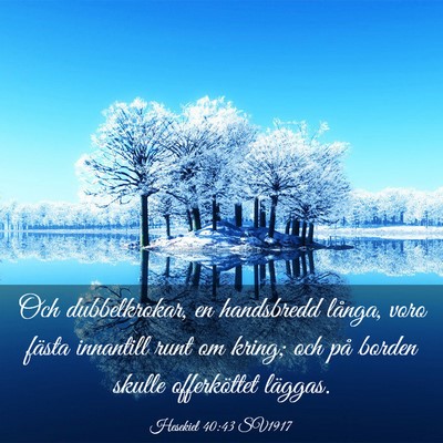 Picture 03 - Hesekiel 40:43 SV1917 - Och dubbelkrokar, en handsbredd långa, voro - Bible Verse Picture