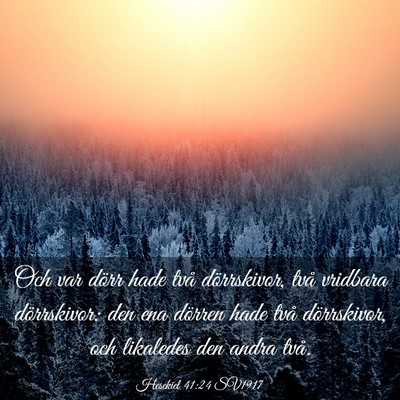 Picture 03 - Hesekiel 41:24 SV1917 - Och var dörr hade två dörrskivor, två - Bible Verse Picture