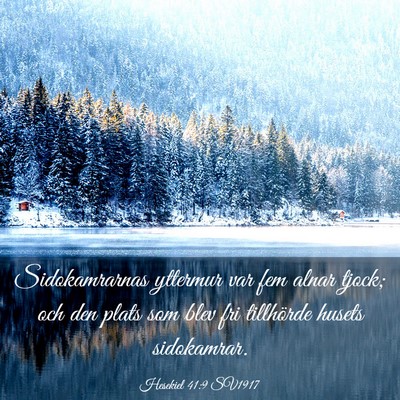 Picture 03 - Hesekiel 41:9 SV1917 - Sidokamrarnas yttermur var fem alnar tjock; och - Bible Verse Picture