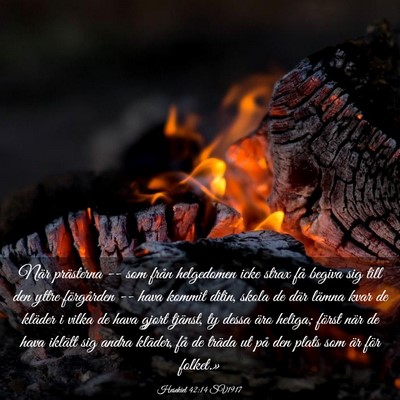 Picture 03 - Hesekiel 42:14 SV1917 - När prästerna -- som från helgedomen icke - Bible Verse Picture
