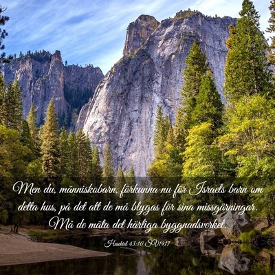 Picture 03 - Hesekiel 43:10 SV1917 - Men du, människobarn, förkunna nu för Israels - Bible Verse Picture